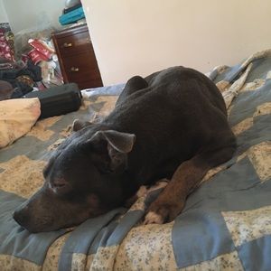 Meet your Posher, Cody